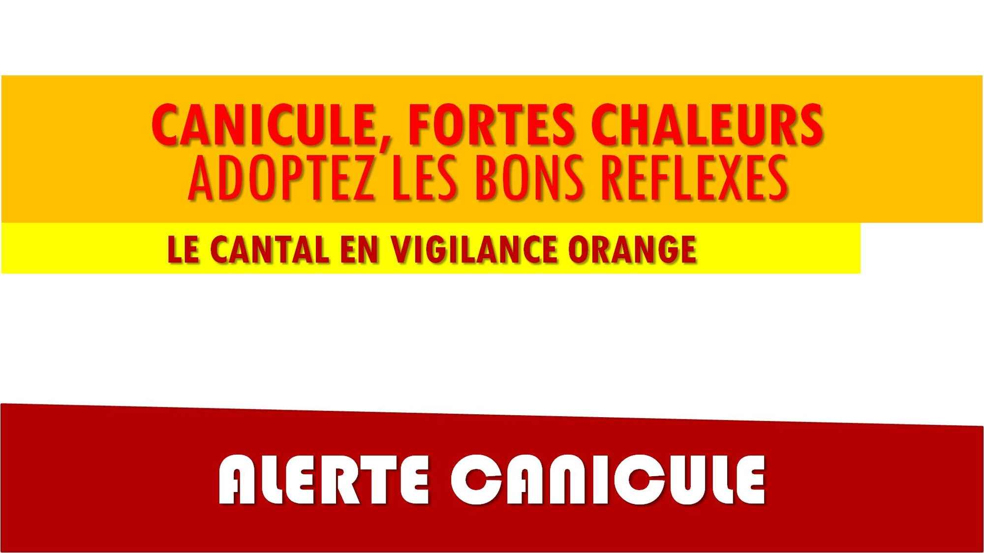 ACTU canicule