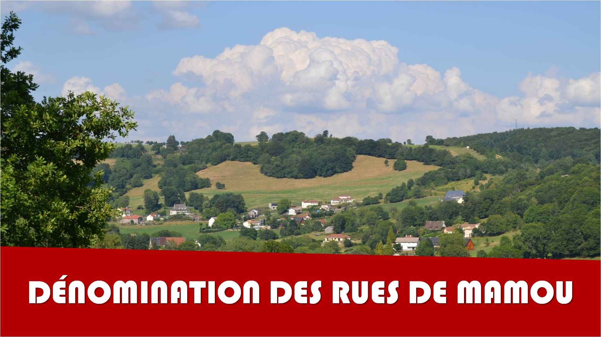 actu dénomination mamou