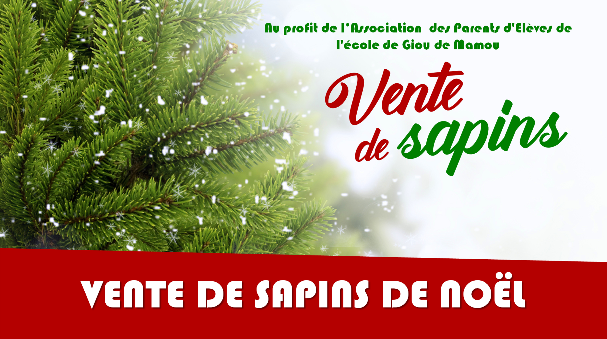 ACTU vente de sapins